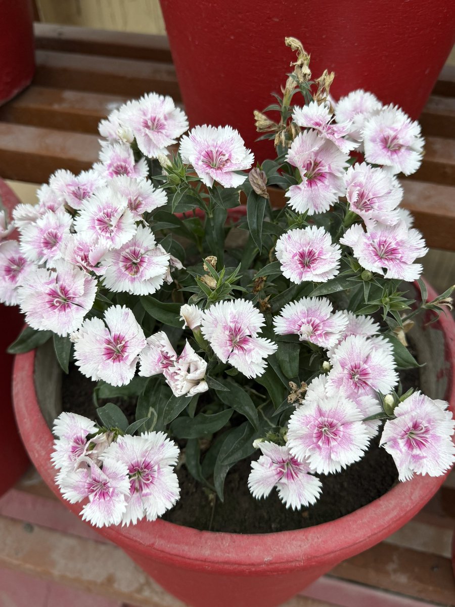 सुप्रभात 🌸
हर सुबह हमें एक नया मौका देती है — मुस्कुराने का, आगे बढ़ने का और सपनों को सच करने का।
आज का दिन भी खुशियों से भरा हो।
#GoodMorning #PositiveVibes #NewDay