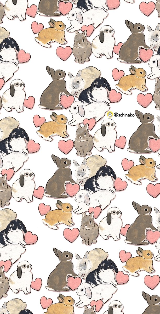 🩷🐇🩷🩷🐇🩷