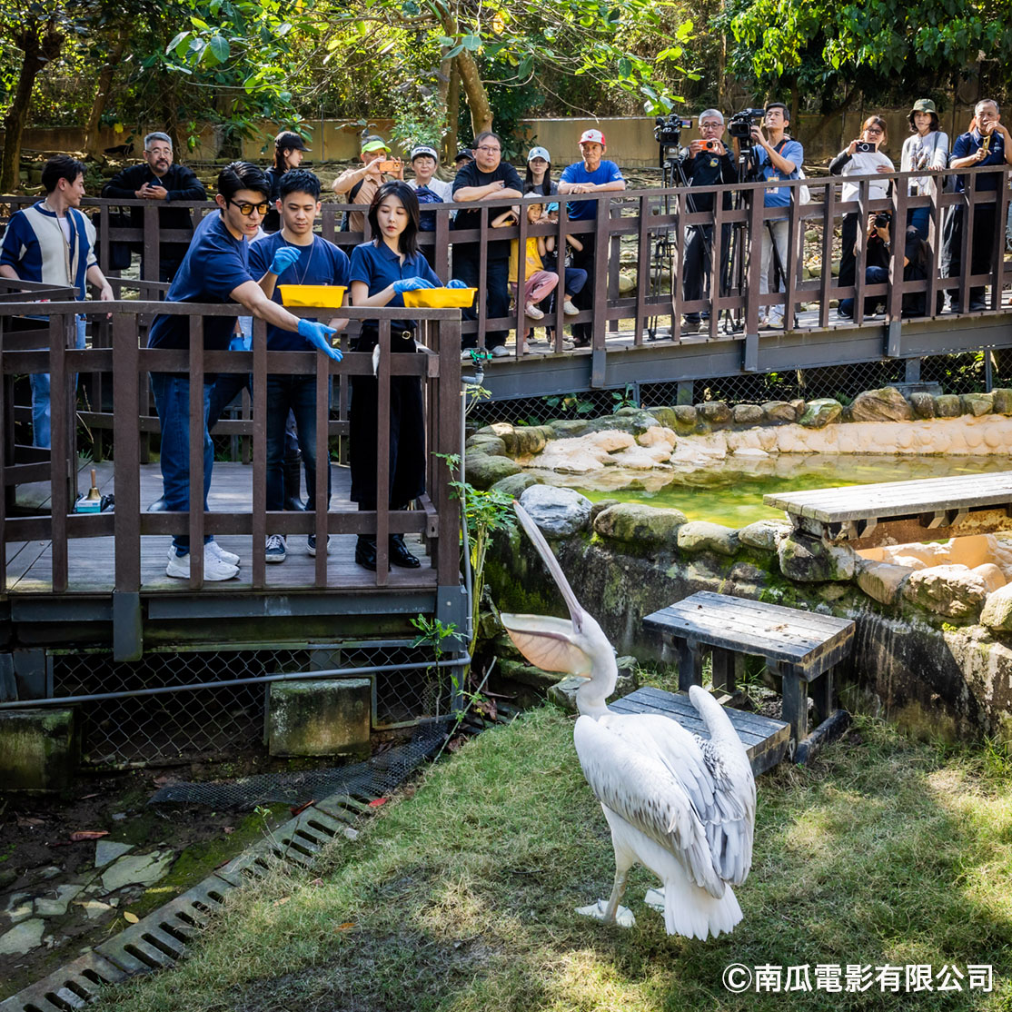 アジアンパラダイス tweet media