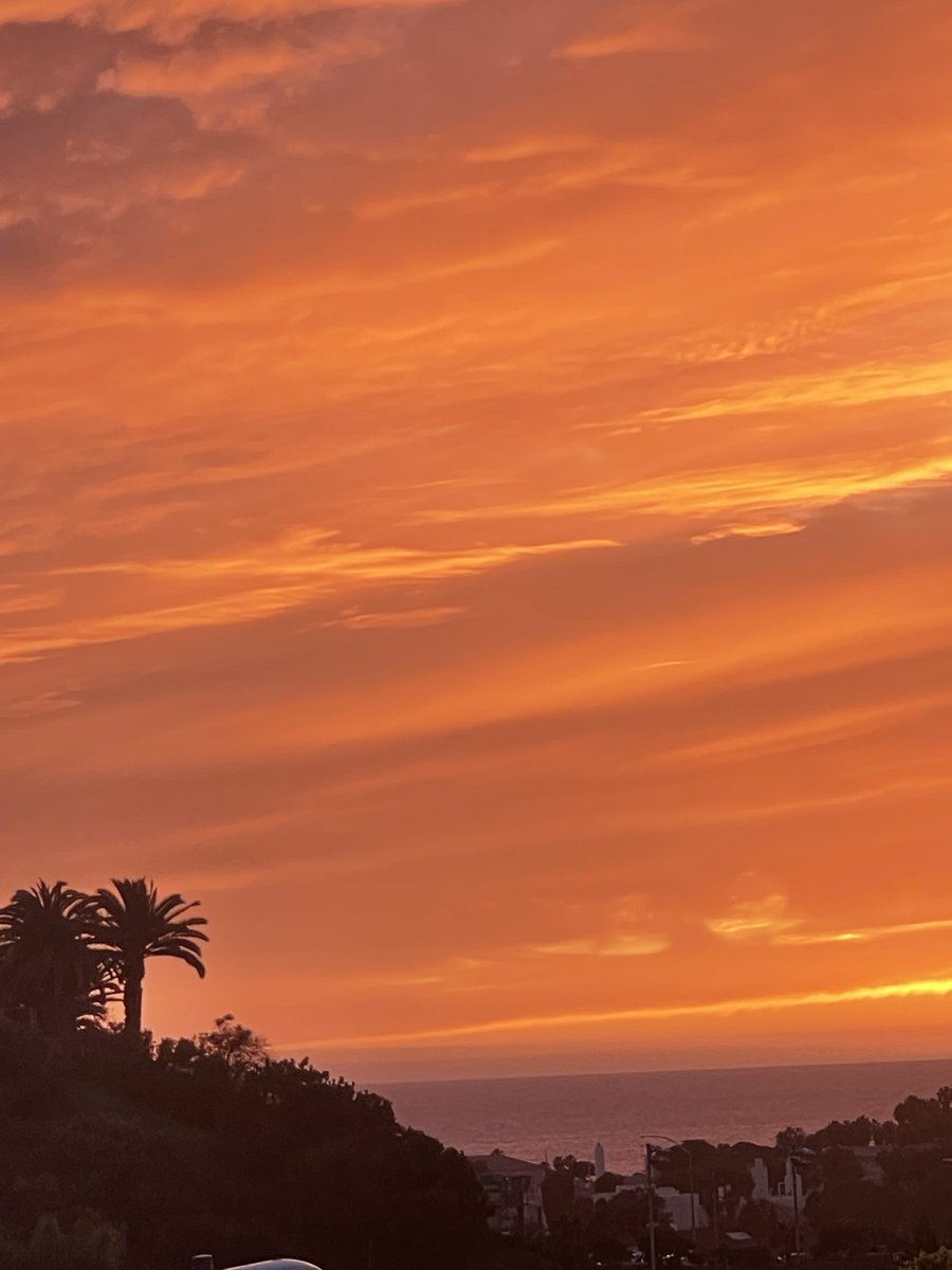 Shannon by the Sea tweet media