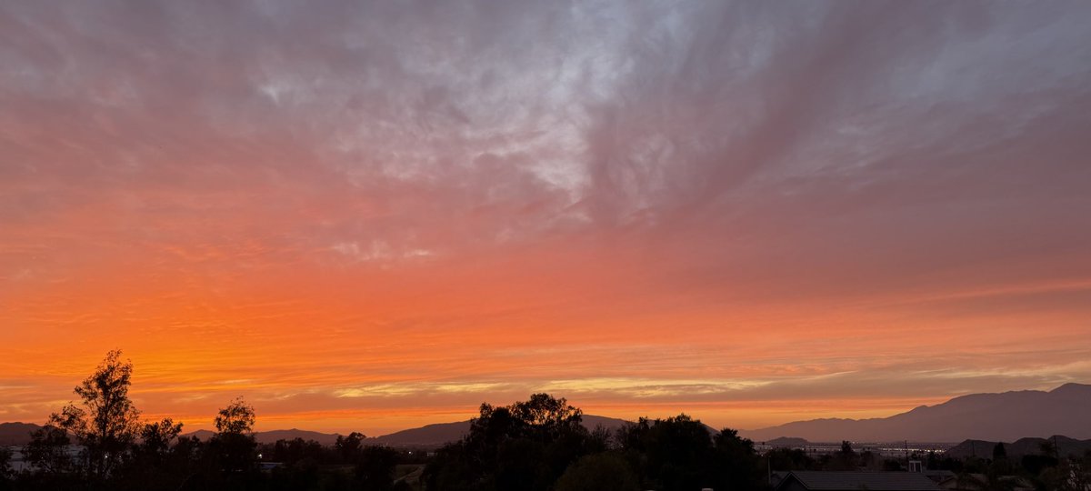 𝐏𝐓𝟗𝟗 tweet media