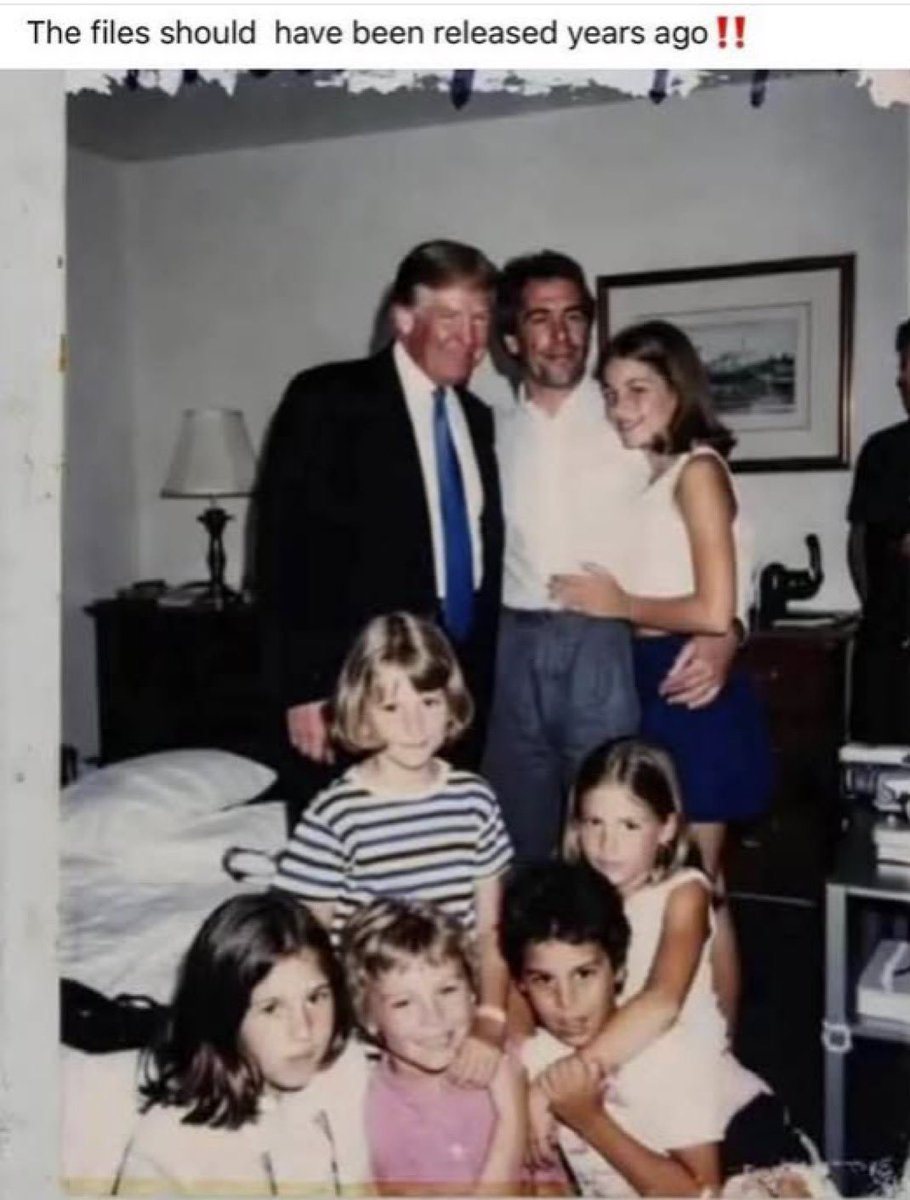 dabigdog tweet media