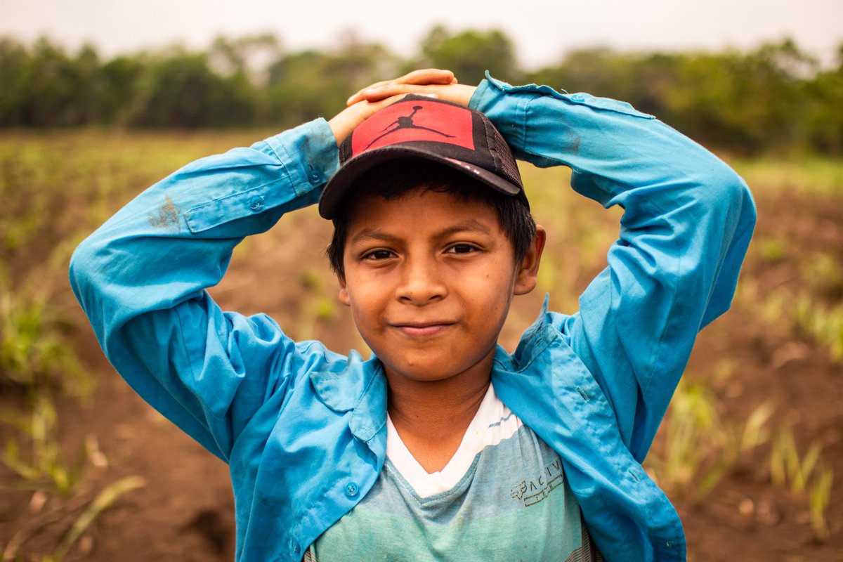 World Vision LAC tweet media