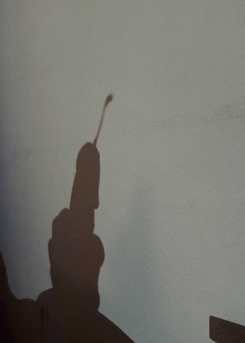 Maverick 🙊 tweet media