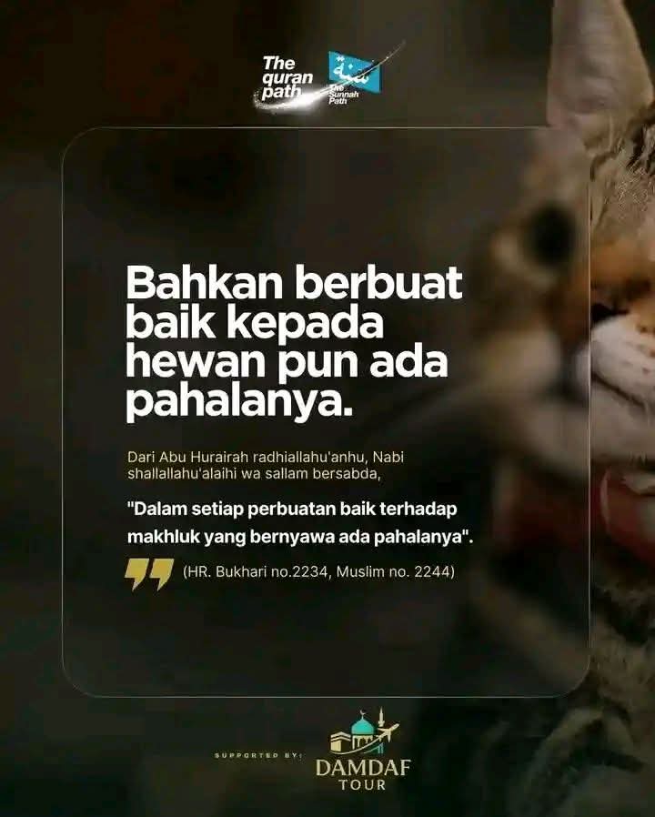 𝐁𝐢𝐬𝐦𝐢𝐥𝐥𝐚𝐡 ...