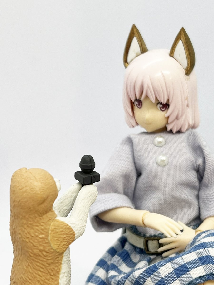 かわいい猫のブラインドボックス、今回は「テレビクルー猫」です