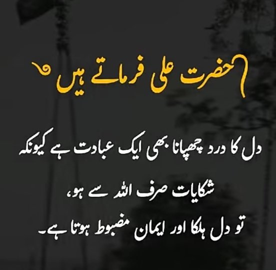 Afia Arain tweet media