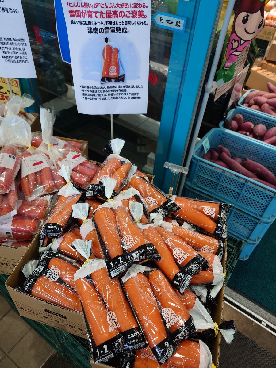 hapy_808's tweet photo. 今年もはじまりました!
新潟県津南町より
「雪室にんじん」🥕🥕🥕
「雪くれないにんじん」🥕🥕🥕
雪があるからこそできる、あま〜いにんじん是非ご賞味ください😊
＃ハピーのやおや
＃やおやのおじさん
＃ハピー
＃糸魚川 https://t.co/ARhWfuuL6i