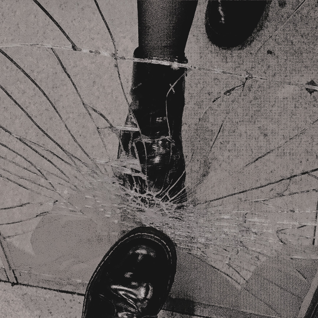 𝚁𝙾𝚁𝚈 tweet media