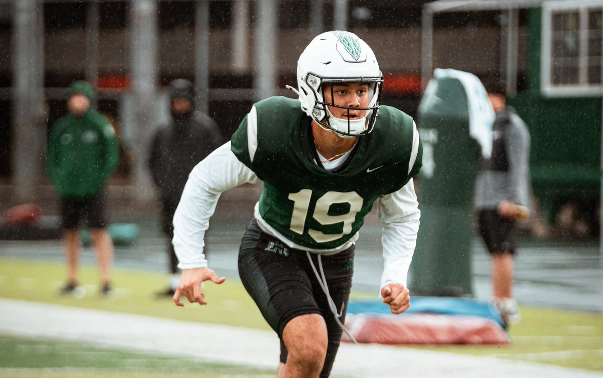 Hawaii Football tweet media