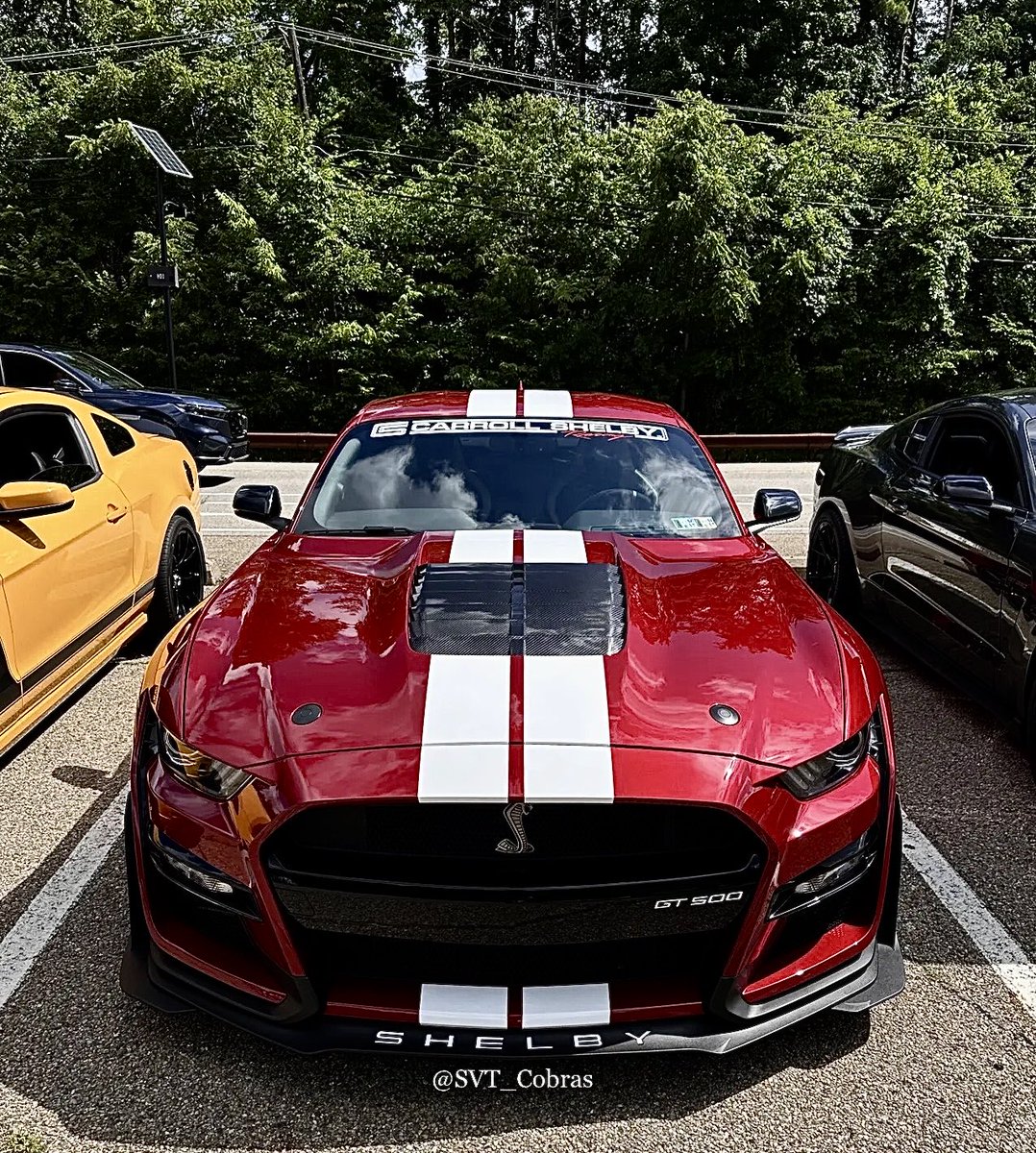 𝕏 Special Vehicle Team™ 𝕏 tweet media