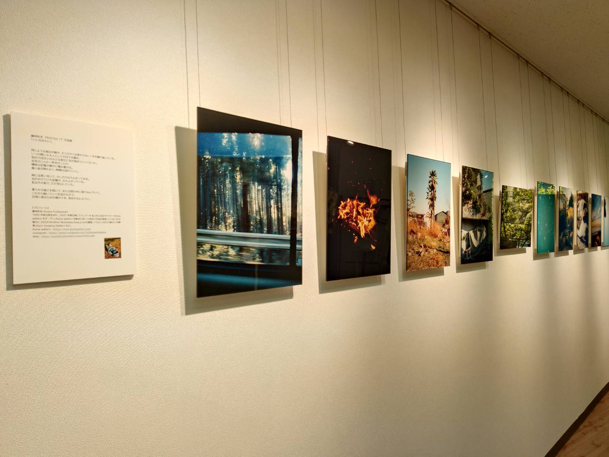 AndyPhotoJ's tweet photo. そして四谷はPENTAXクラブハウスへ。恵比寿のKoma galleryメンバーで狸の写真の藤林さんの作品展。

藤林彩名　PENTAX 17 作品展
「いい日みたい」

3/7（土）にはトークイベントもあるようですよ。
https://t.co/mBEm2dwcTa https://t.co/vPitRHWrqZ