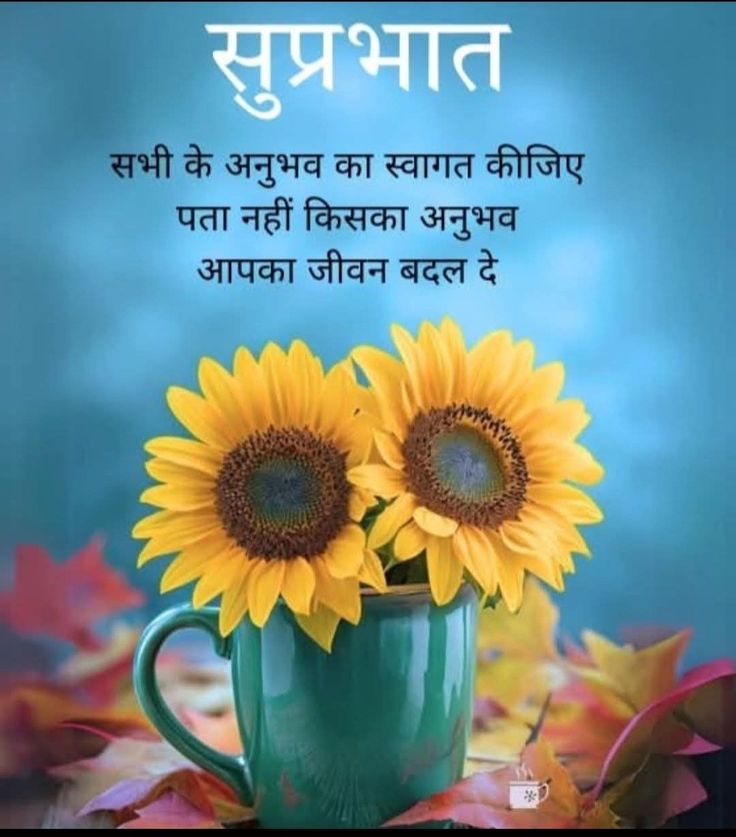 शुभ प्रभात मित्रो