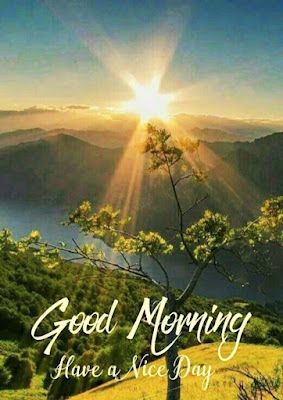 Good morning Friends 🙏