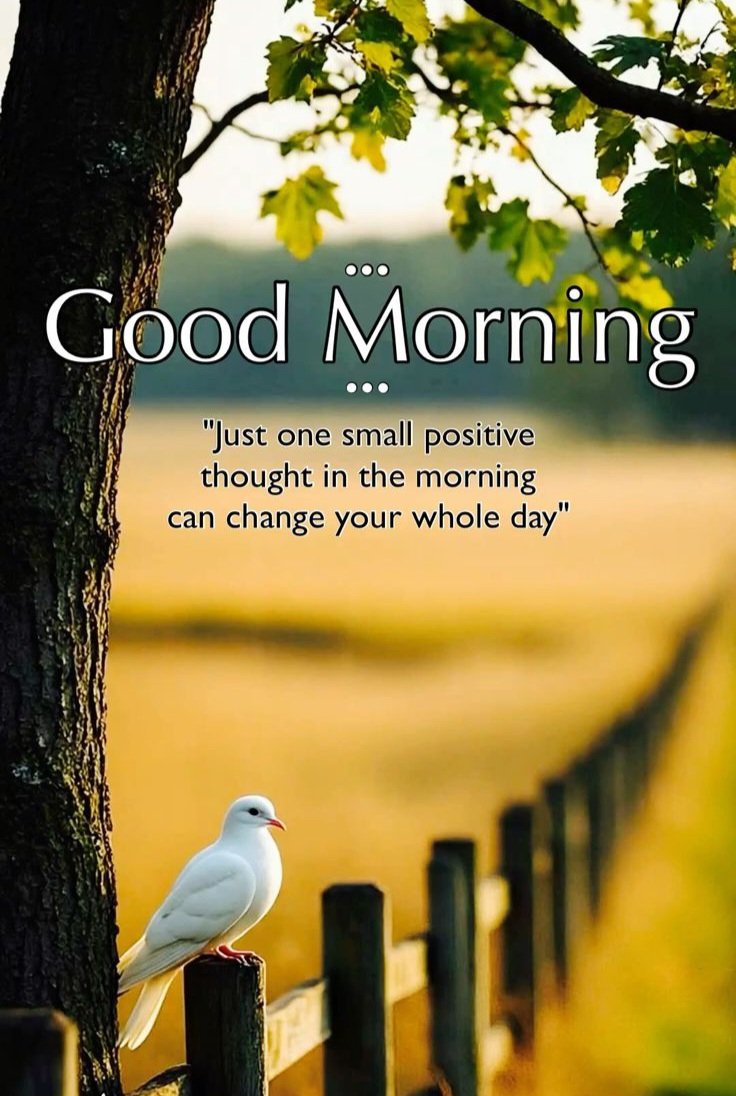 #GoodMorningXFriends