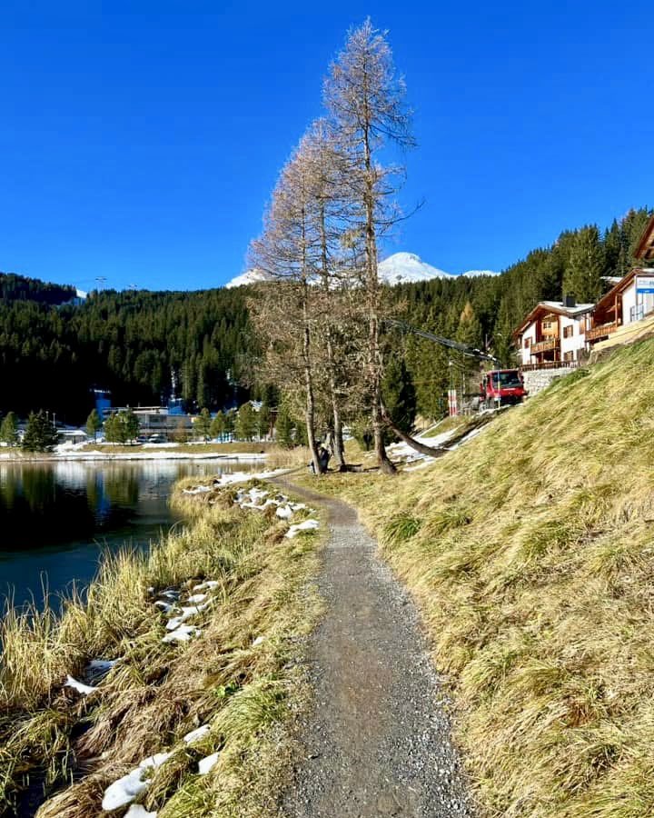HrSchnyder's tweet photo. Arosa-Obersee-Eichhörnliweg
#wandern #hiking #arosa #oberseearosa #eichhörnliweg https://t.co/gBBGTSWSZ7