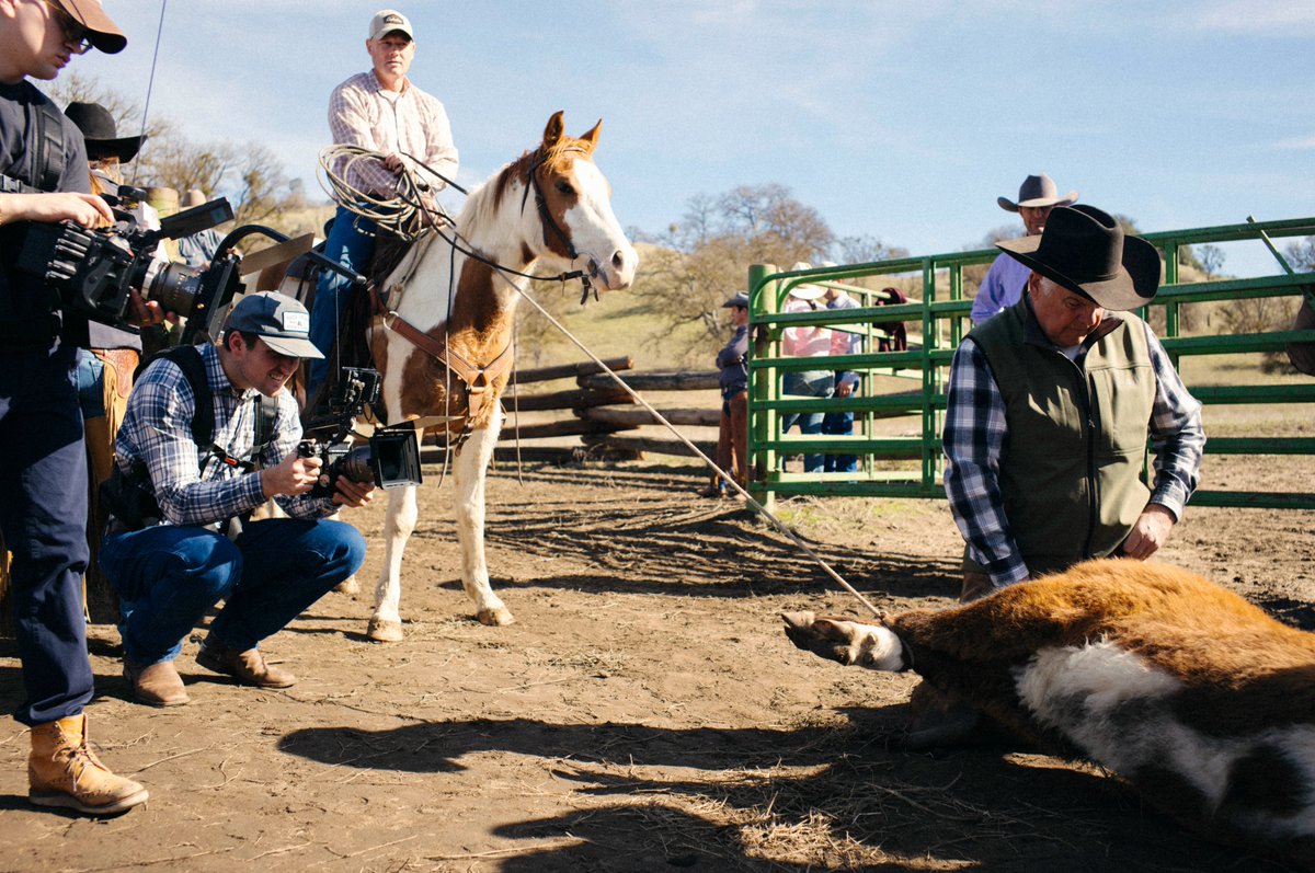 Moving Picture Institute tweet media