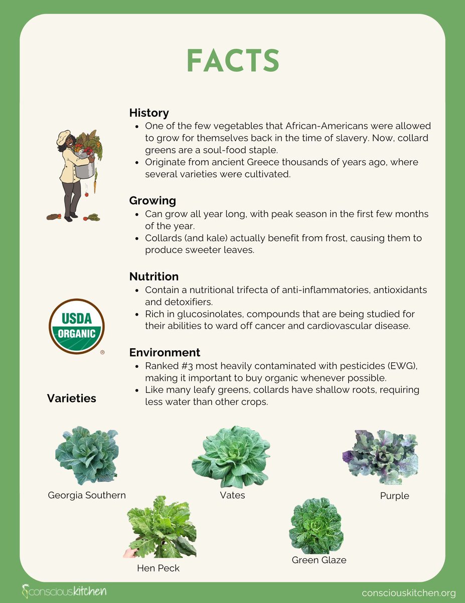 Conscious Kitchen tweet media