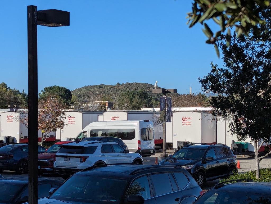 Becca Whitnall tweet media