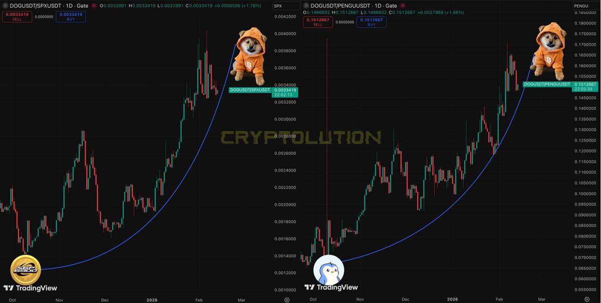 Vincent (Cryptolution) 👑 tweet media