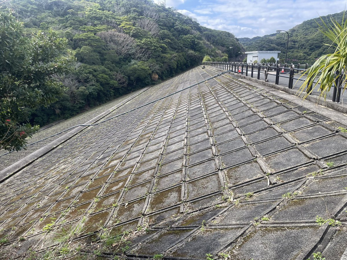 ダムカード。 鹿児島県 須野ダム。 さすが奄美大島、植生が埼玉と全然