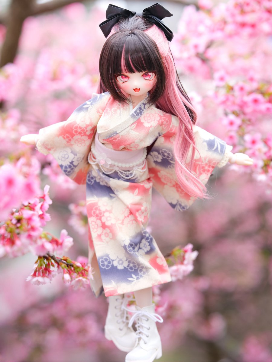 Akiame_glas's tweet photo. 桜が満開でいっぱいだよ〜🌸🌸

#わたがしっ子 https://t.co/fZ9n3YNPEK