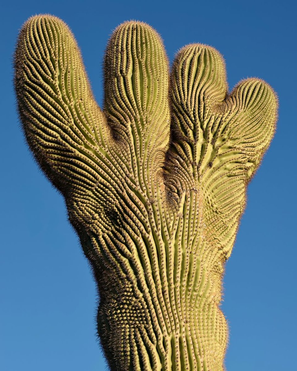 Josh Lien / Fine Art Photographer tweet media