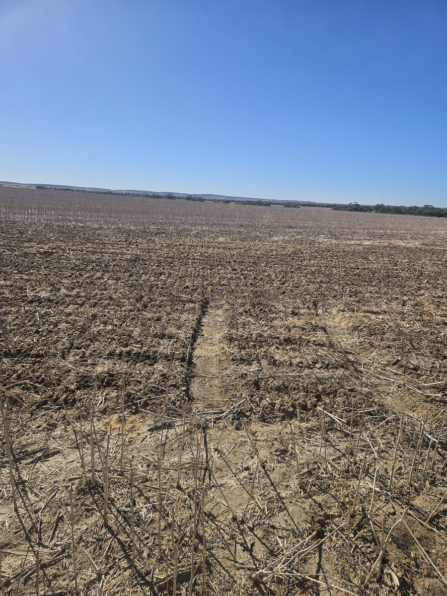 cosfarming's tweet image. We built a thing. Stoked with the finish its leaving #agtwitter #rip26