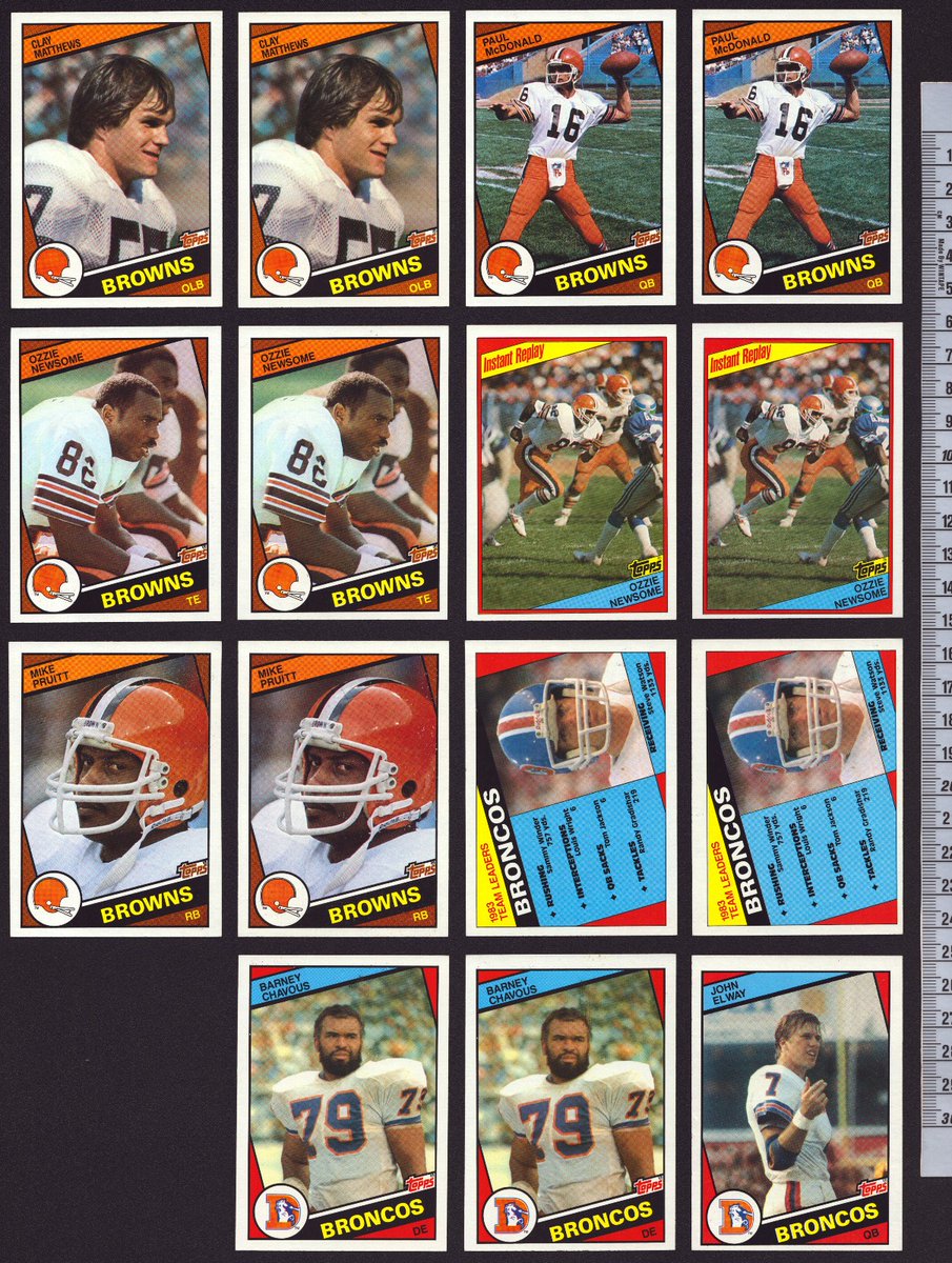 Collectosaurus tweet media