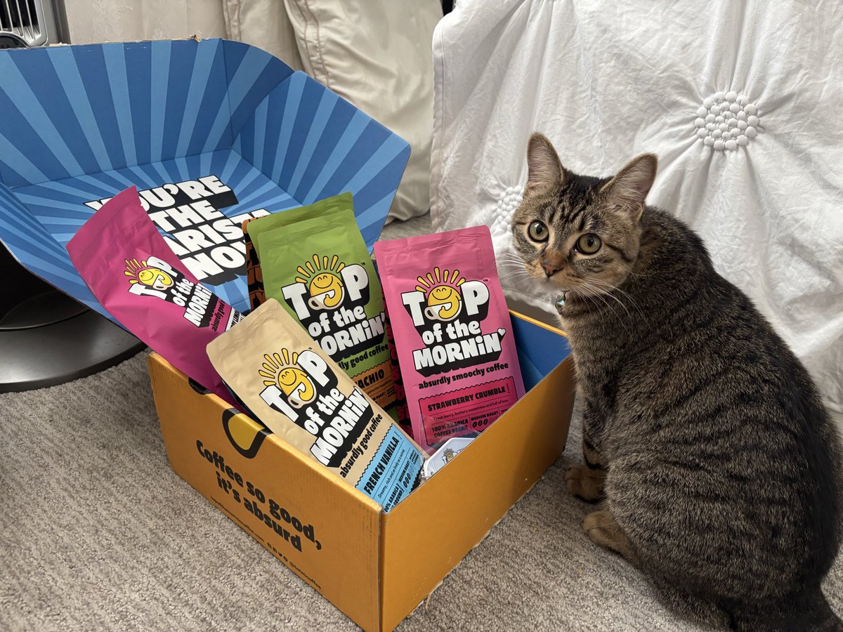 ncolalala's tweet photo. Loving these mystery pulls ‧𓍢ִ໋☕ ׂ 𓈒 ⋆ ۪   
(My cat stole my coffee after this pic was taken)

@TOTMCoffee @Jacksepticeye https://t.co/7JbVPN8yJs