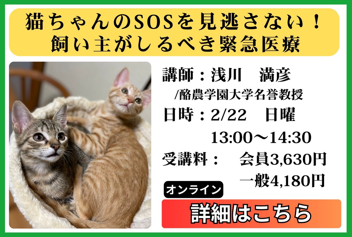 ■猫ちゃんのSOSを見逃さない！飼い主がしるべき緊急医療
浅川　満彦/酪農学園大学名誉教授
2026/2/22　日曜　13:00～14:30
会員3,630円・一般4,180円

もし猫ちゃんが何かを誤って飲んでしまったら…
心肺停止していたら…

何をしてどこに連絡するべきか、直ぐに頭に浮かびましたか？？