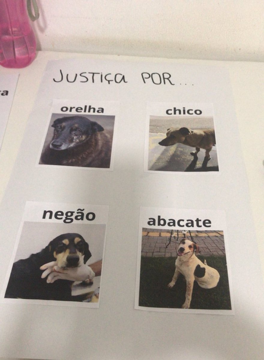 MarcoValverde72's tweet photo. Queremos justiça por Orelha, Negão, Chico e Abacate.
Vidas inocentes que partiram vítimas da crueldade.
Eles não tiveram defesa, mas agora têm a nossa voz.
Chega de impunidade.
Chega de dor.
Enquanto houver memória, haverá luta. 🐾💔✊ https://t.co/Py4llt8fjb