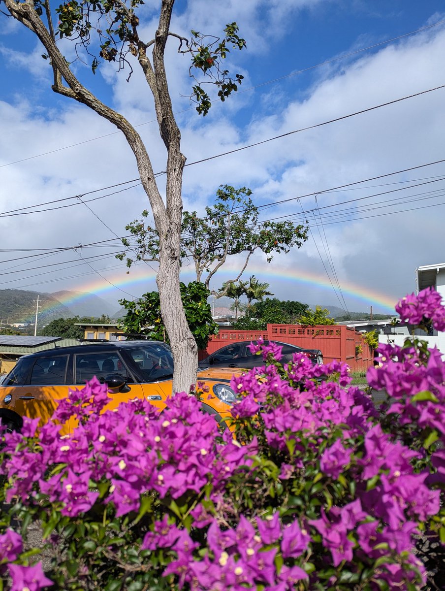 FitLifeTravel's tweet image. Rainbow and flowers.

#travel #rainbows #hawaii