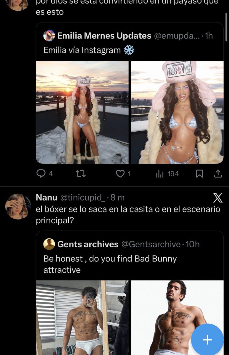 tincho•｡ꕤ tweet media
