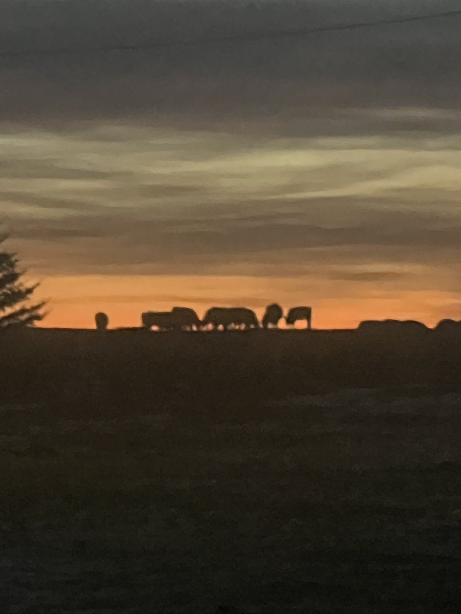 Sean McGrath tweet media