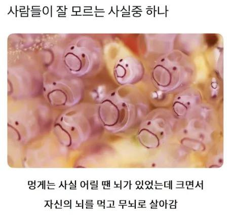 Min Seok Seo tweet media