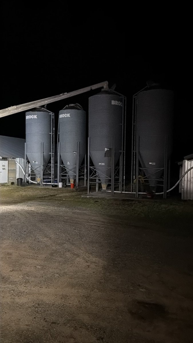 HighSpeedCF's tweet photo. Really not a fan of this farm.. $HSCF
#cdl #trucking #TruckDriver #chickenfarm #chickenfeed #agservices https://t.co/9R32jVYw0j