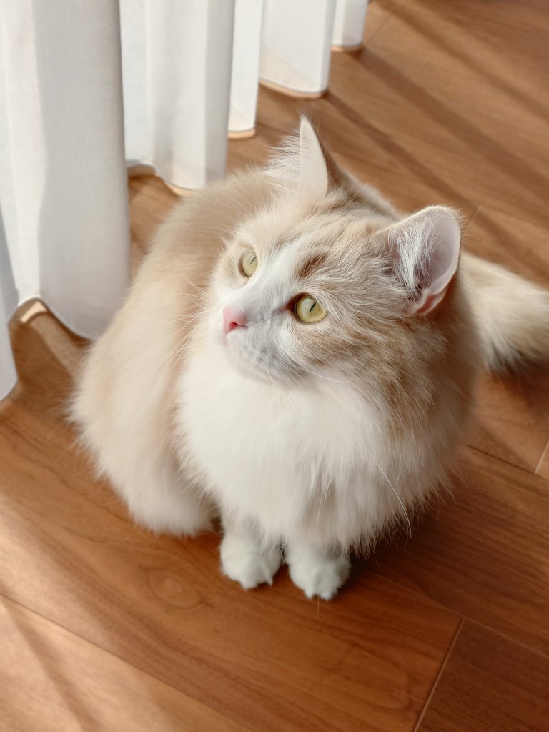 太陽あったかいね