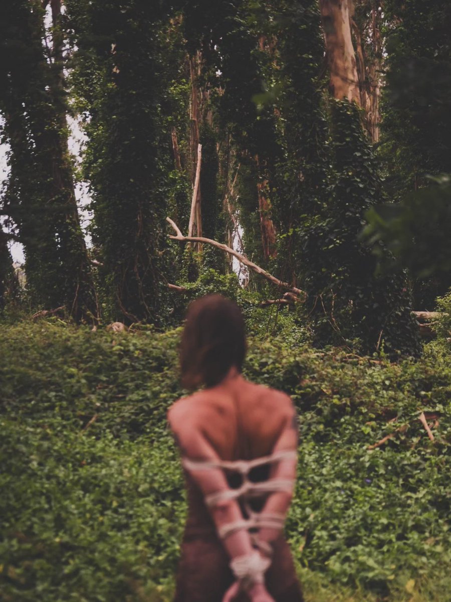 Kaptured_by_Arty tweet media