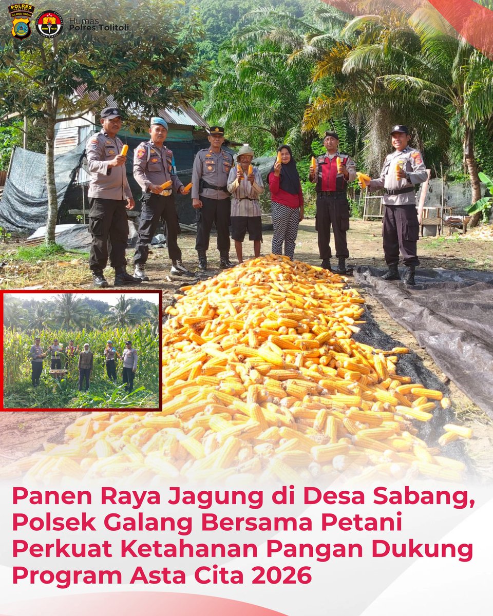 Upaya mendukung program ketahanan pangan nasional terus digencarkan di berbagai wilayah, termasuk di Kabupaten Tolitoli. Salah satu wujud nyata dukungan tersebut terlihat dalam kegiatan Panen Raya Jagung yang dilaksanakan pada Rabu, 11 Februari 2026, sekitar pukul 09.00 WITA,