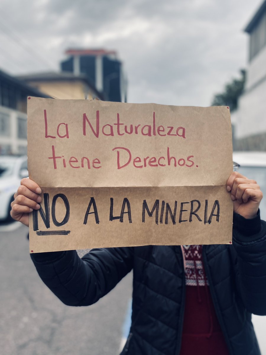 Alianza de Organizaciones por los Derechos Humanos tweet media