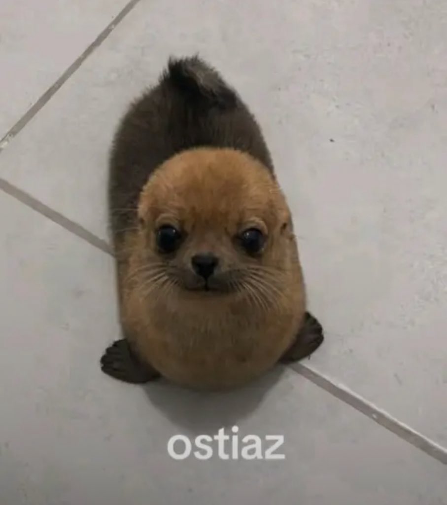 Son bien migajeros alv 🤣