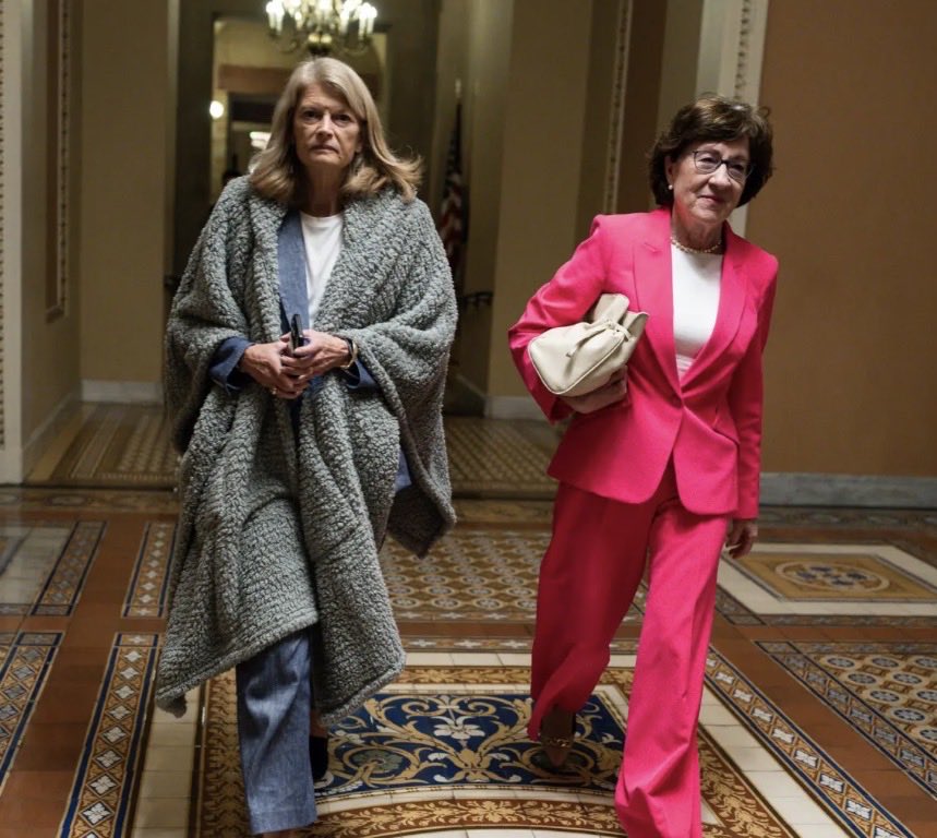 MAGAVoice's tweet image. Would you support Primarying any RINO who votes against the SAVE America Act ?