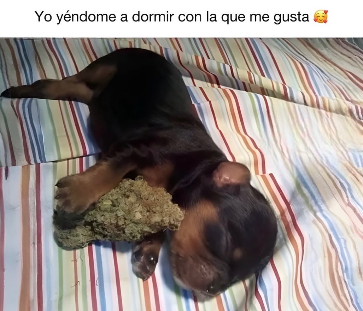 Elparaguayo1231's tweet photo. https://t.co/x5eUKHKvtW