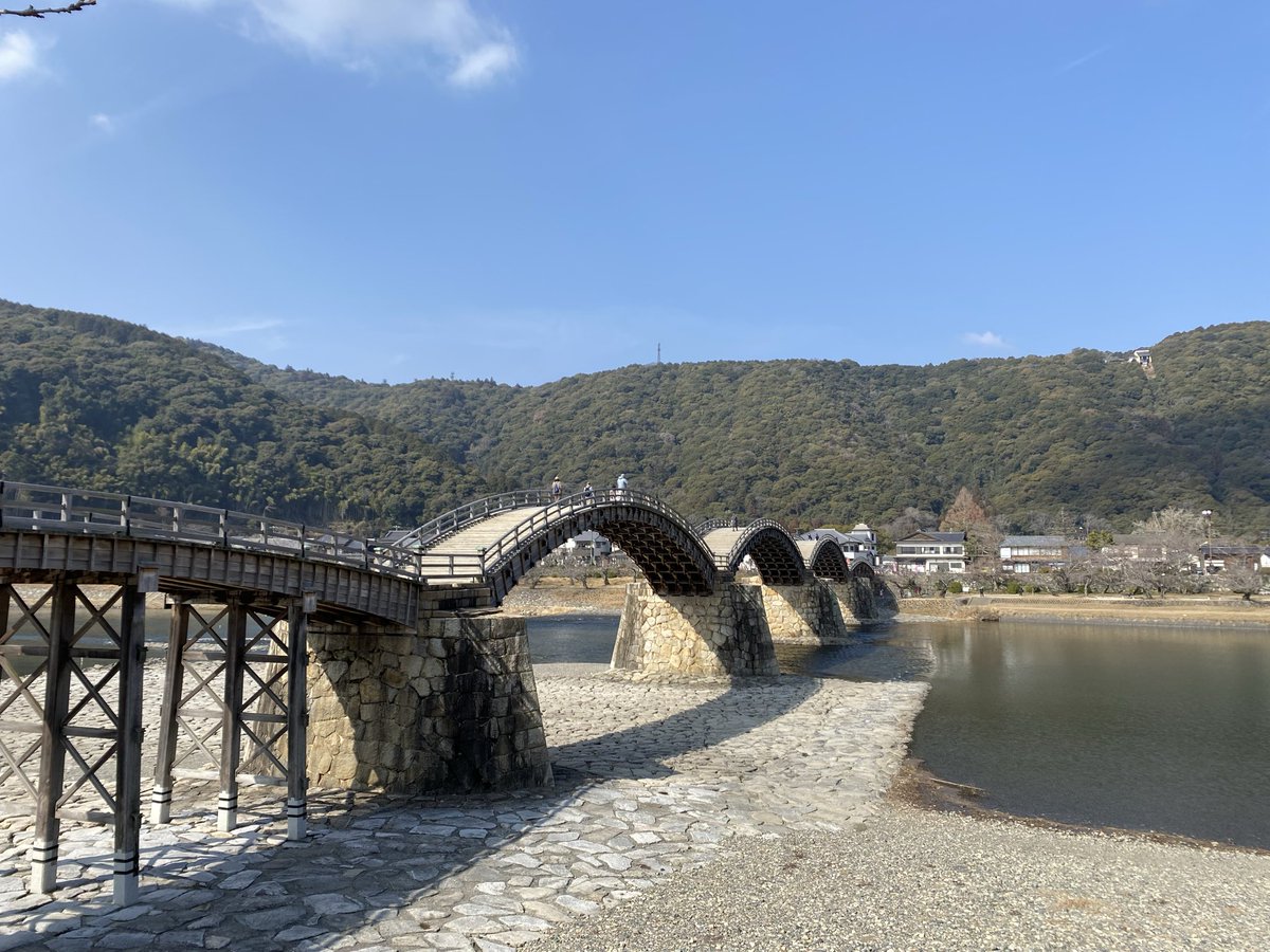 私、今どこにいると思いますか？ 答えは 錦帯橋🪜 いい天気すぎます