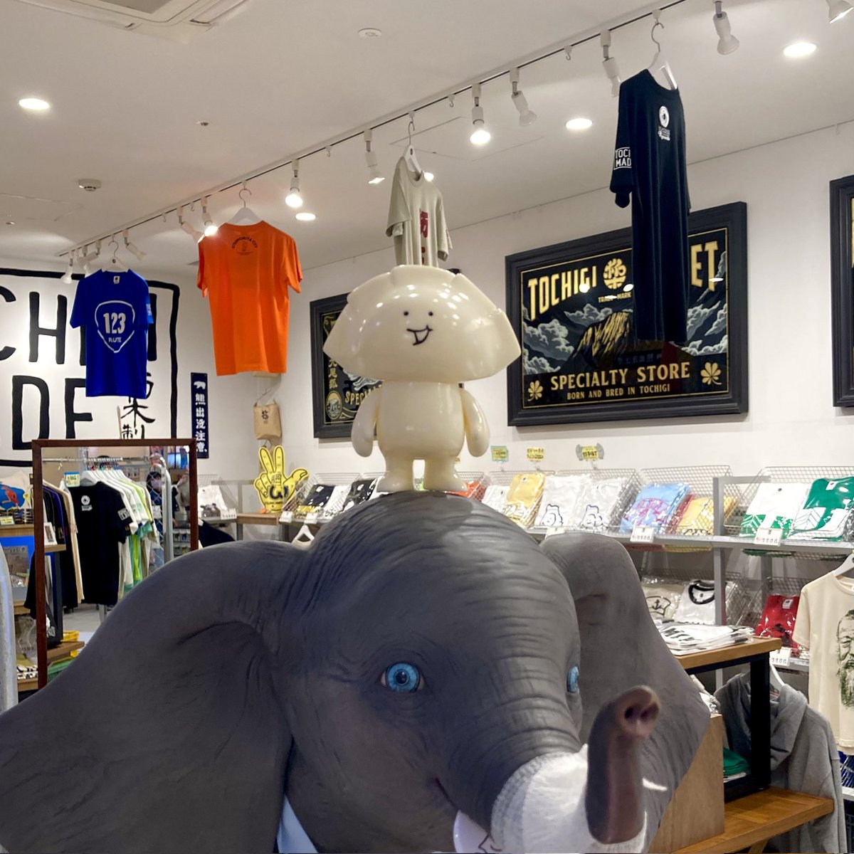 🌞トチギマーケット営業中！🐻‍

【🙇‍♀️お知らせ📣】

2/16(月)ウツノミヤテラス全館休館日に伴いましてトチギマーケット ウツノミヤテラス店もお休みとなります🙇‍♀️

ECショップは通常通り営業致しますので是非ご利用くださいませ！

ご来店予定の皆様にはご迷惑をお掛け致しますがよろしくお願いします🙇‍♀️