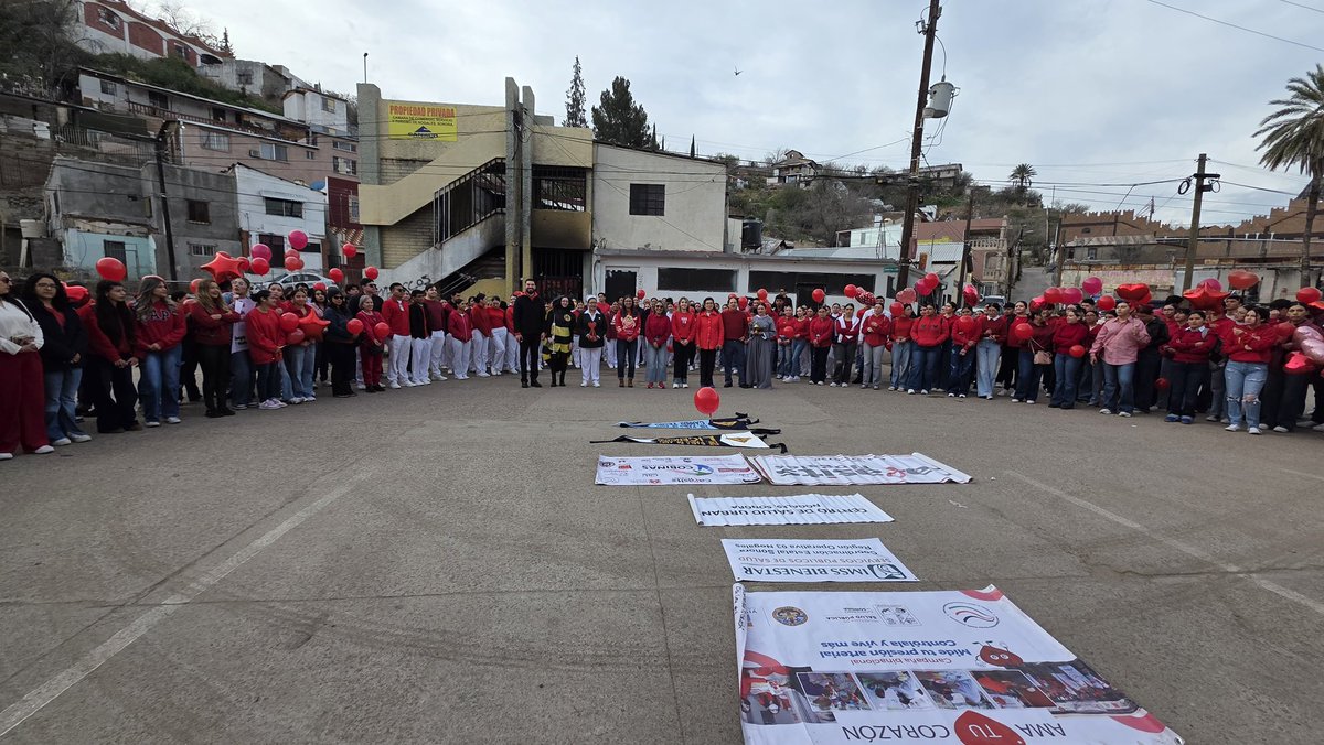 Salud Fronteriza Mx tweet media