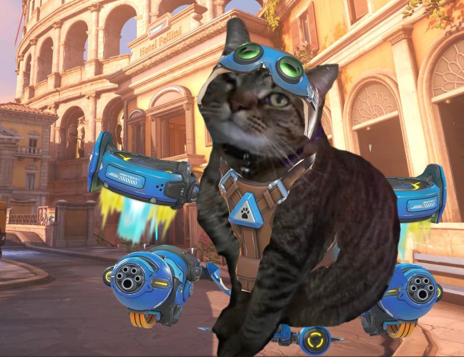 momo 🥀 tweet media