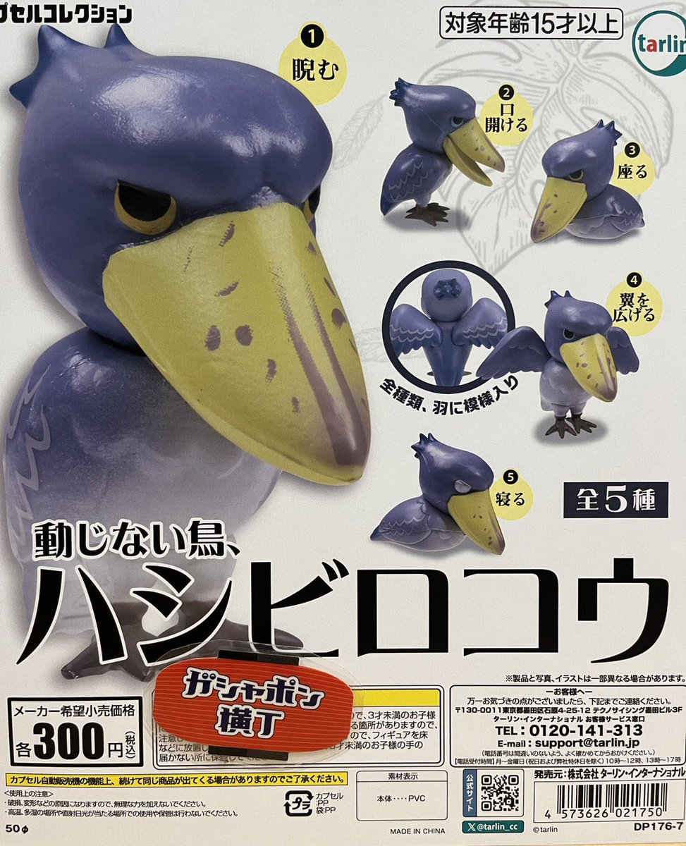 2月13日(金)入荷情報②／ 🦜まんまるとりパック3 🦤動じない鳥