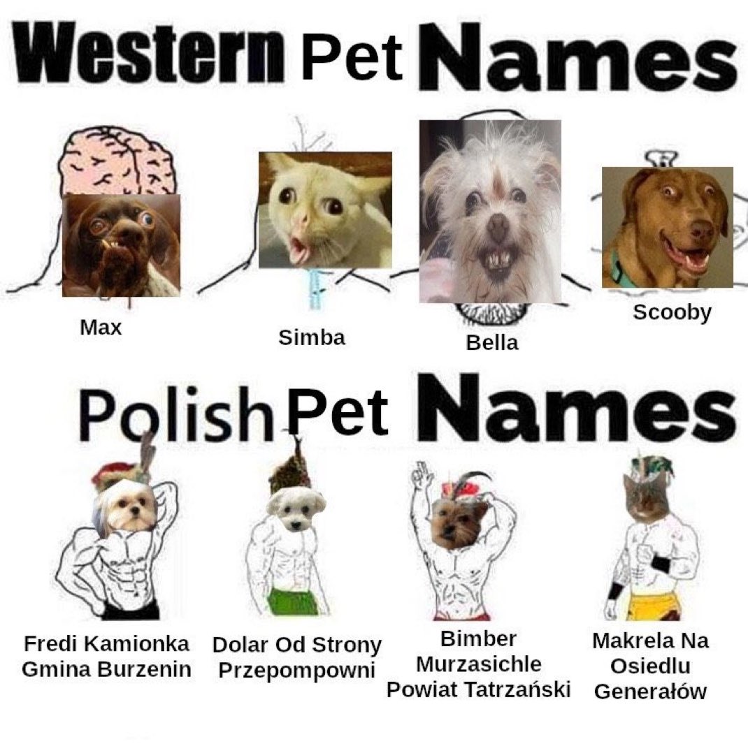 Dark,Odd,Conspiracy (@darkoddcon) on Twitter photo 